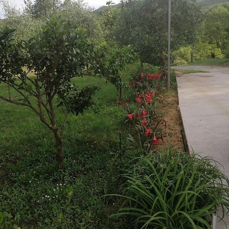 Apartman Petovic Kotor Zewnętrze zdjęcie