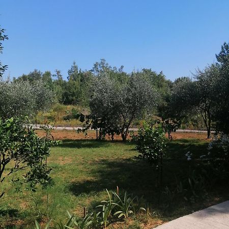 Apartman Petovic Kotor Zewnętrze zdjęcie