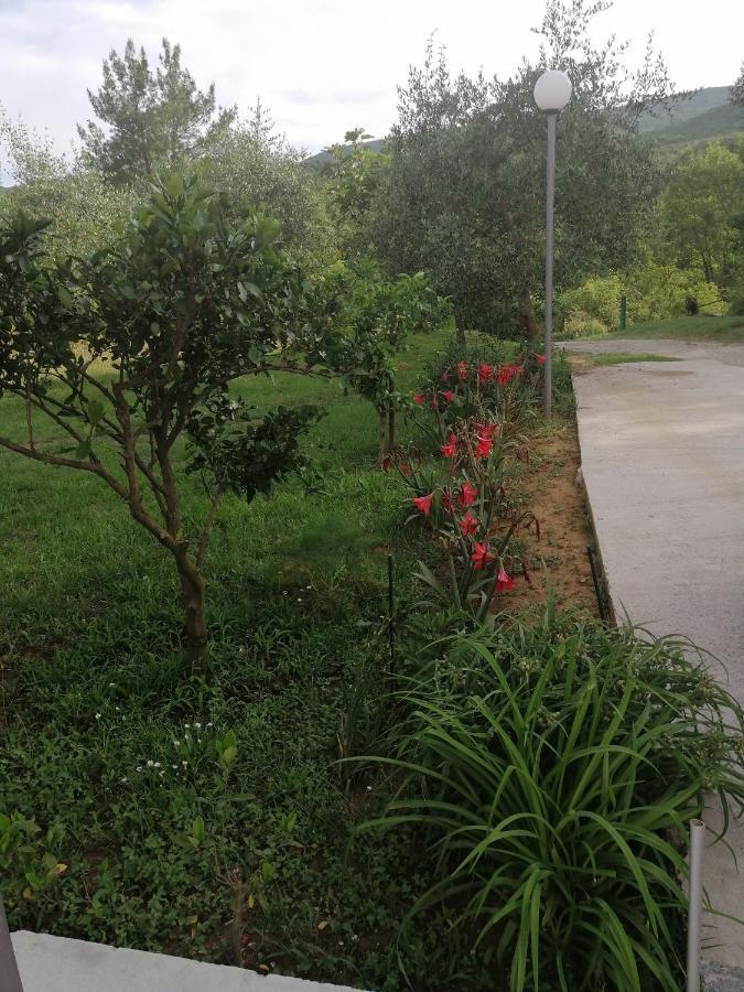 Apartman Petovic Kotor Zewnętrze zdjęcie