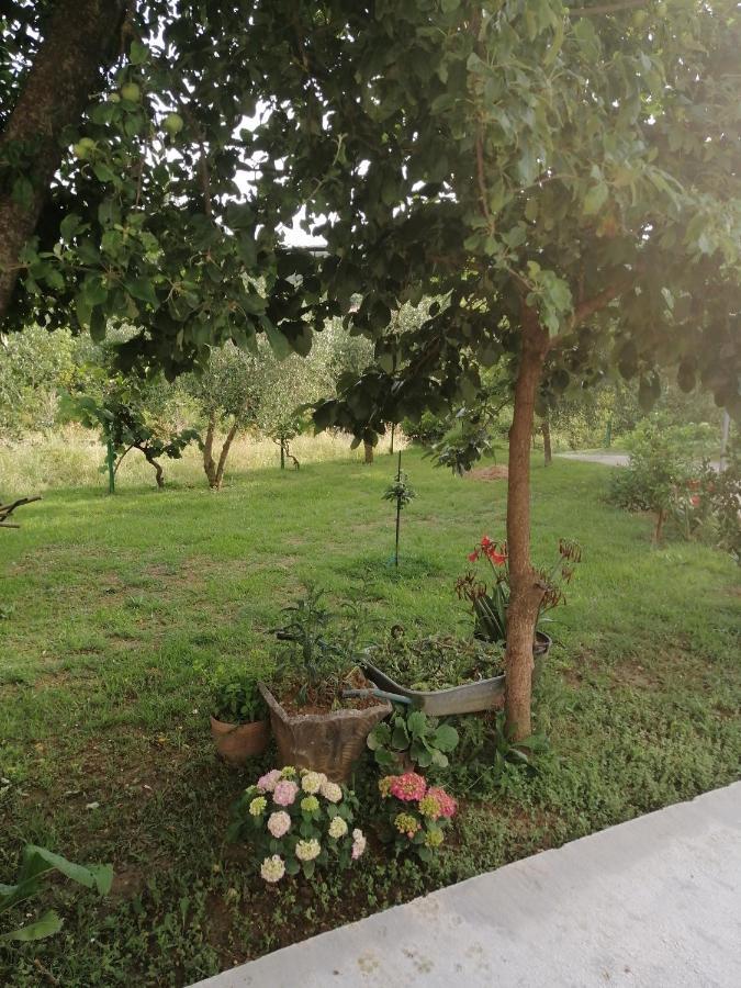 Apartman Petovic Kotor Zewnętrze zdjęcie