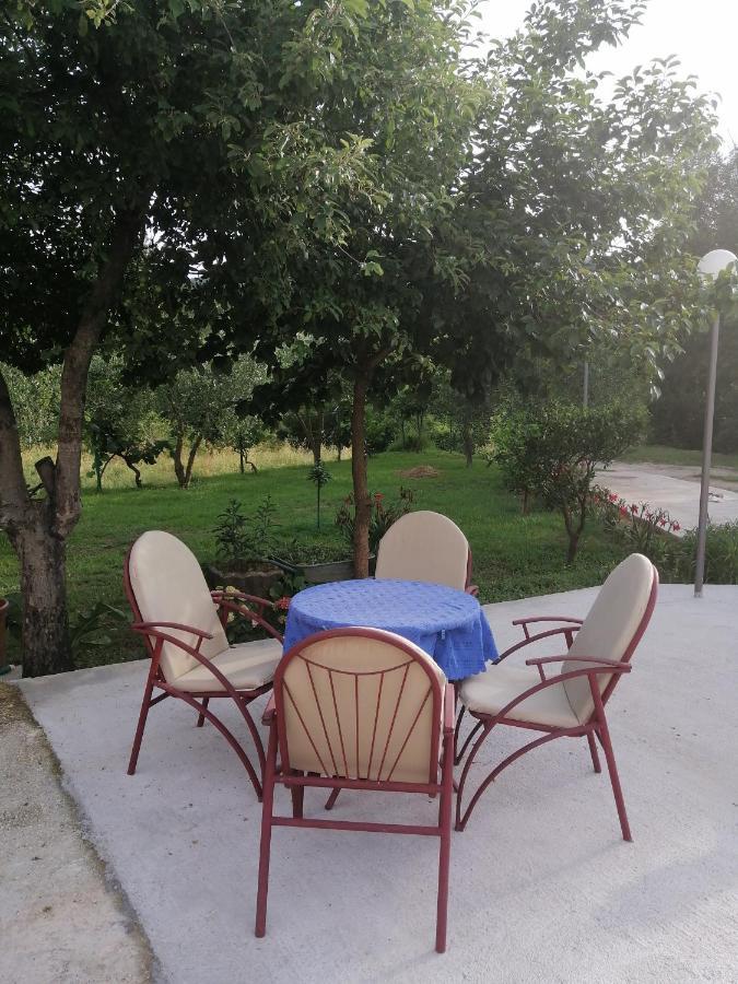 Apartman Petovic Kotor Zewnętrze zdjęcie