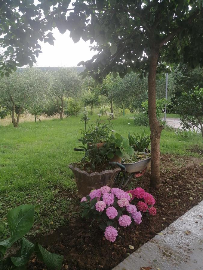 Apartman Petovic Kotor Zewnętrze zdjęcie